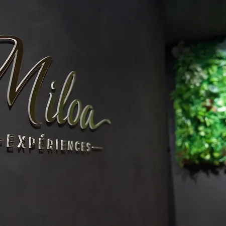Miloa Cine Escapace Cinema Et Ciel Etoile Tarbes